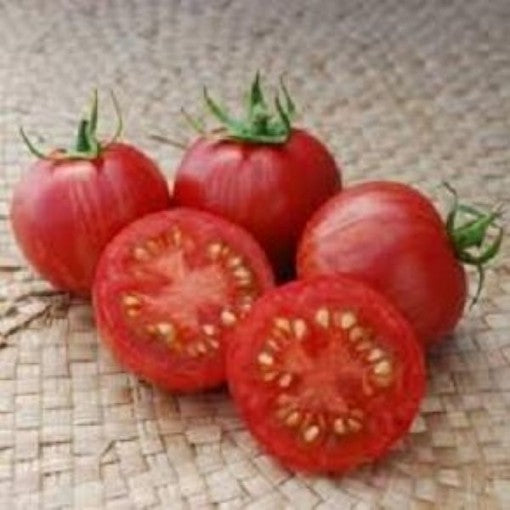 Pink Vernisage Tomato Seed
