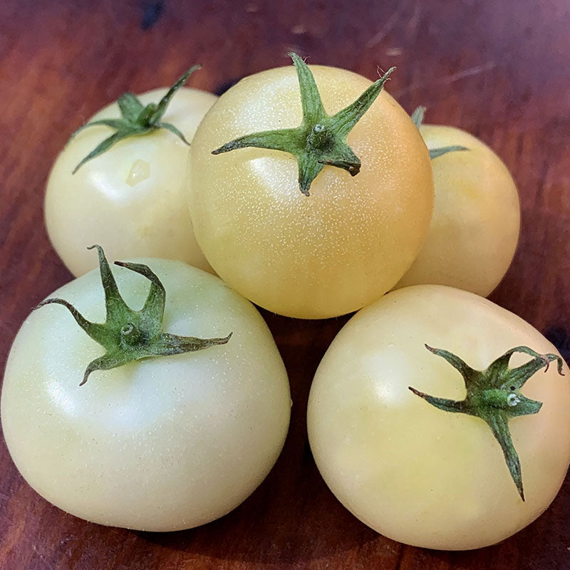Snow white Tomato