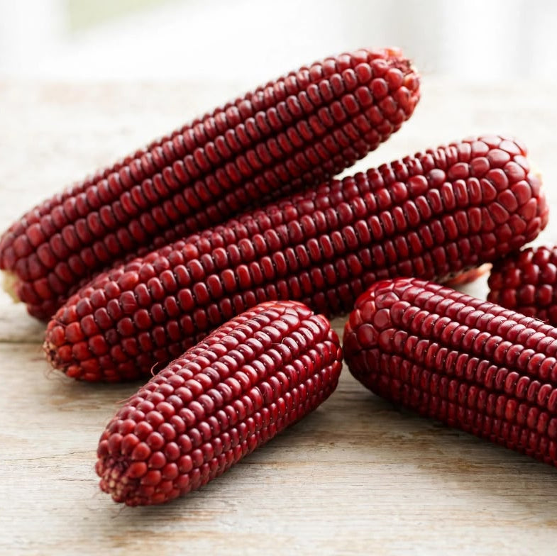 Edible Red Corn Combo (Set of 3)