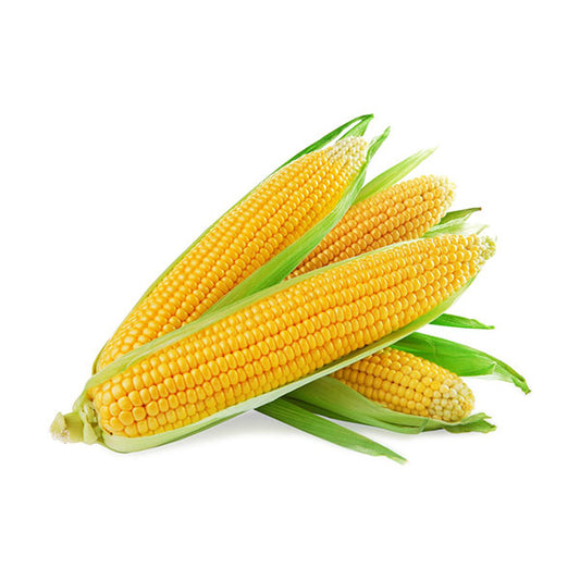 Yellow Corn