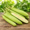 Green Long Brinjal