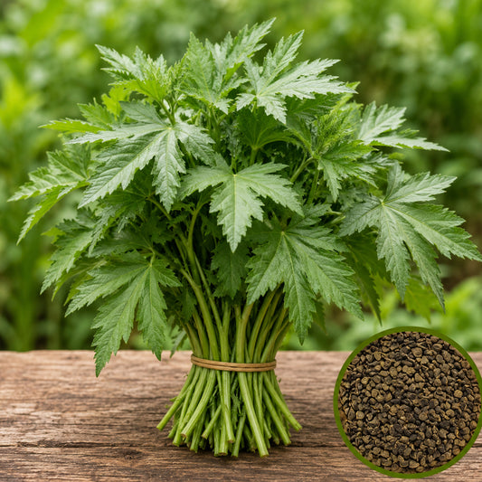 Green Gongura – JAM Pulichai