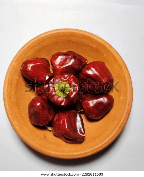 Gundu Chilly Seed