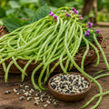 Karamani