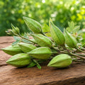Kasturi Okra