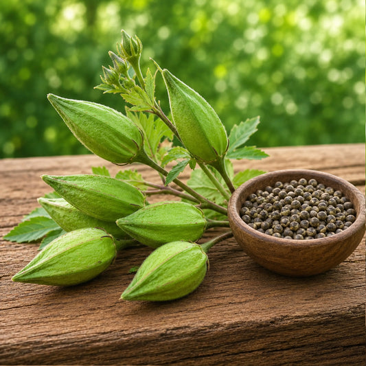Kasturi Okra