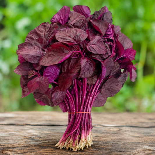 Red Amaranthus – Sigappu Thandu Keerai