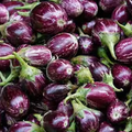 Manapaarai Brinjal Seed