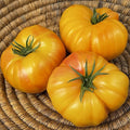 Doyong Yellow Tomato