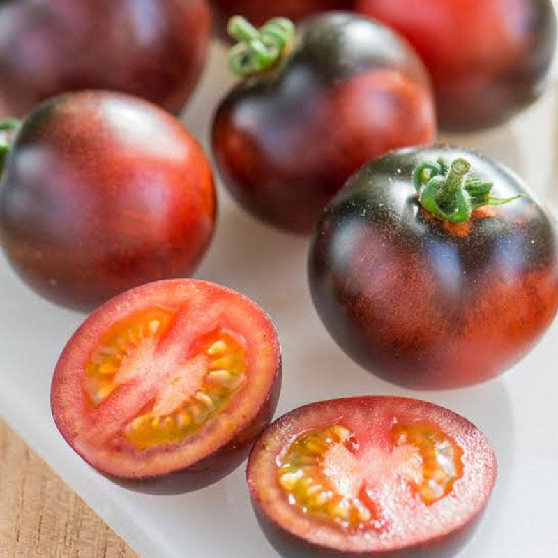 Indigo Rose Tomato