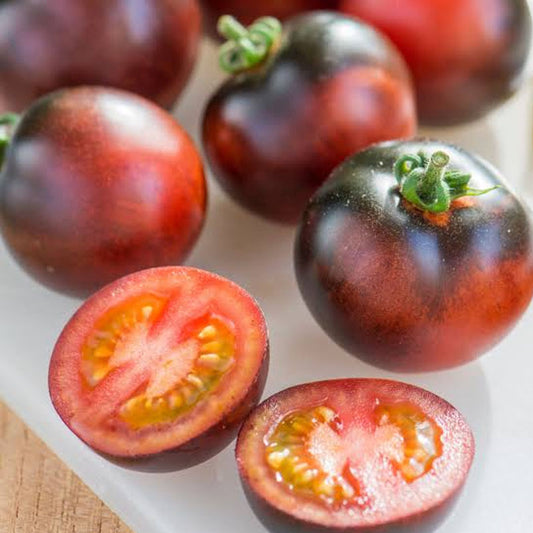 Indigo Rose Tomato