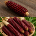 Red Corn