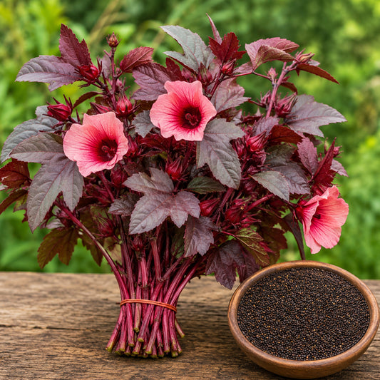 Red Gongura – Sigappu Pulichai