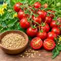 Red Cherry Tomato Seed