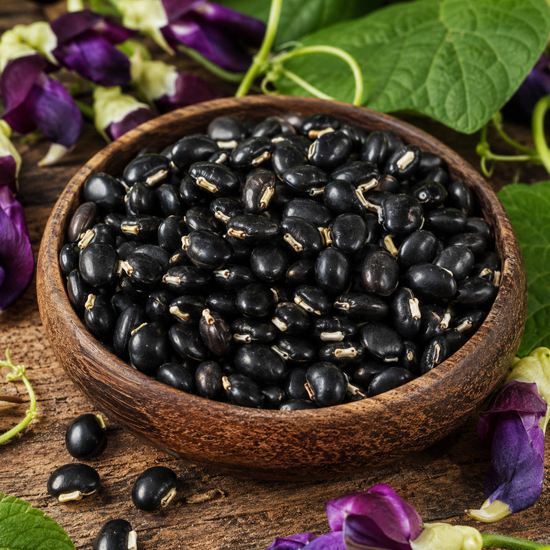 Velvet Beans – Poonaikali
