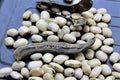 White Velvet Beans